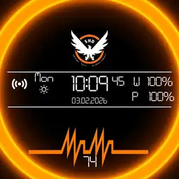 The Division Copy