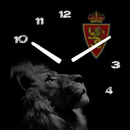 real Zaragoza leon