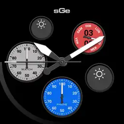 sGe A2.8