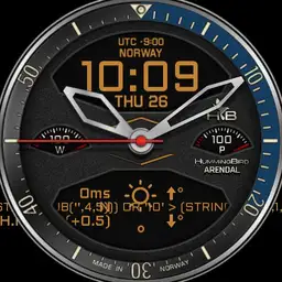 HummingBird Arendal Lunar 230725