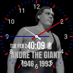 Andr the giant