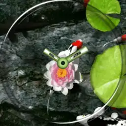 Koi