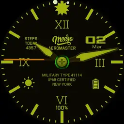 Aeromaster Pilot Copy