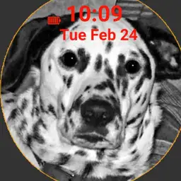 Untitled watch Copy