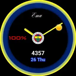 Fenerbahce 2