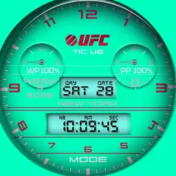 UFC Edition Copy