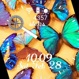 Butterflies