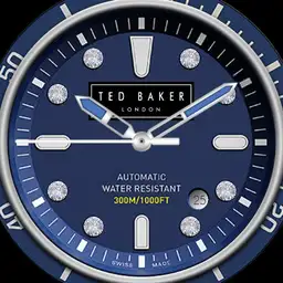 Ted Baker 2