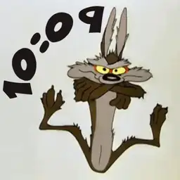 wile e watch