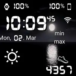 Vector watch 2 Copy