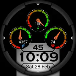 Watch 80 EW