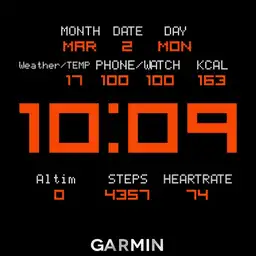Copy Garmin ST weather white