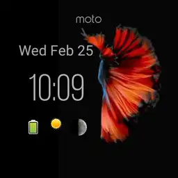 Red Fish Moto Sport