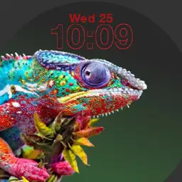 Chameleon