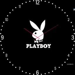 Playboy Bunny