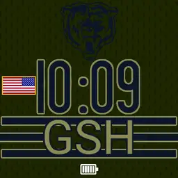 Bears Jersey Salute to Service 4