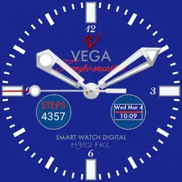 Vega Tempomaster