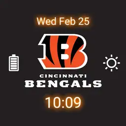Cincinnati Bengals 2