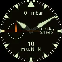 Altimeter Pilot V 1.1