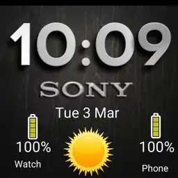 Sony Watch
