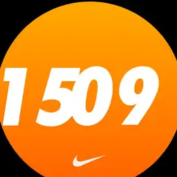 NIKE RUN ORANGE Copy
