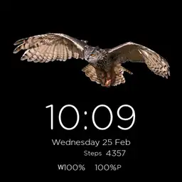 owl2