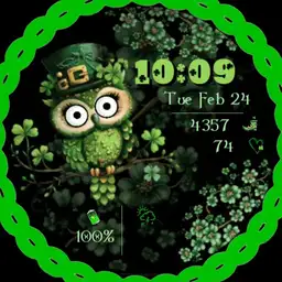 Irish Owl