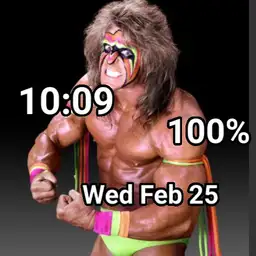 ultimate warrior