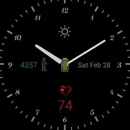 Analogue, H/R, Battery, Steps Copy