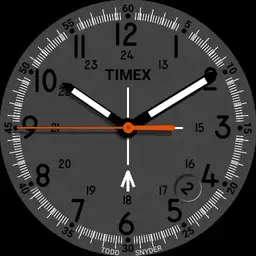 Timex Todd Snyder Military watch