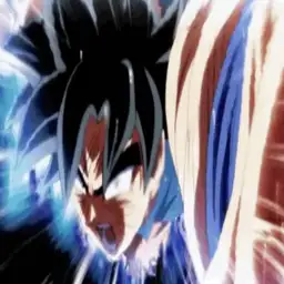 Fighting spirit