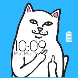 RIPNDIP