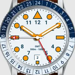 Brute SENTINEL Military Field Watch Colours
