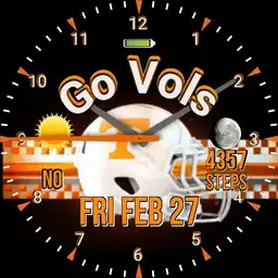 Vols Helmet #2