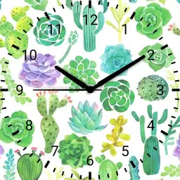 succulents