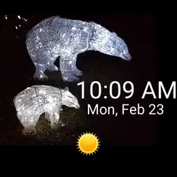 Bearly Winter