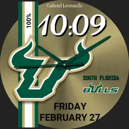 USF Bulls Modern
