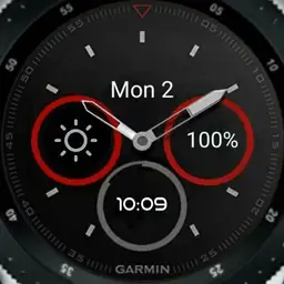 Fenix 5