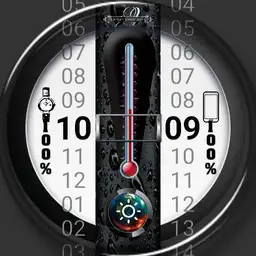 Thermometer Wetterface