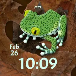 Clown Tree Frog