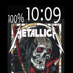 skull metallica