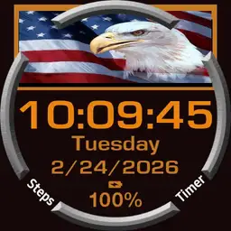 Lyntali Countdown USA Copy