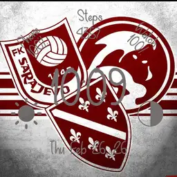 fk sarajevo