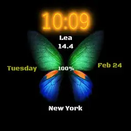 Samsung butterfly 2