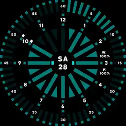 Digital Analog Type 7
