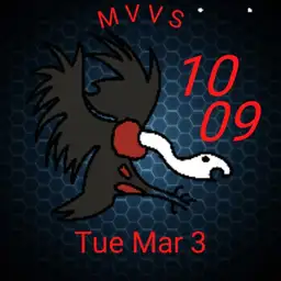 Vulture Squadron