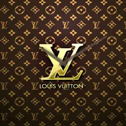 Lousi V1