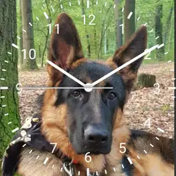 Idefix