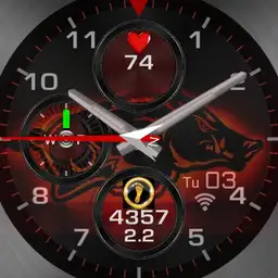 Razorback1.1