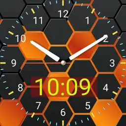 bienen watch